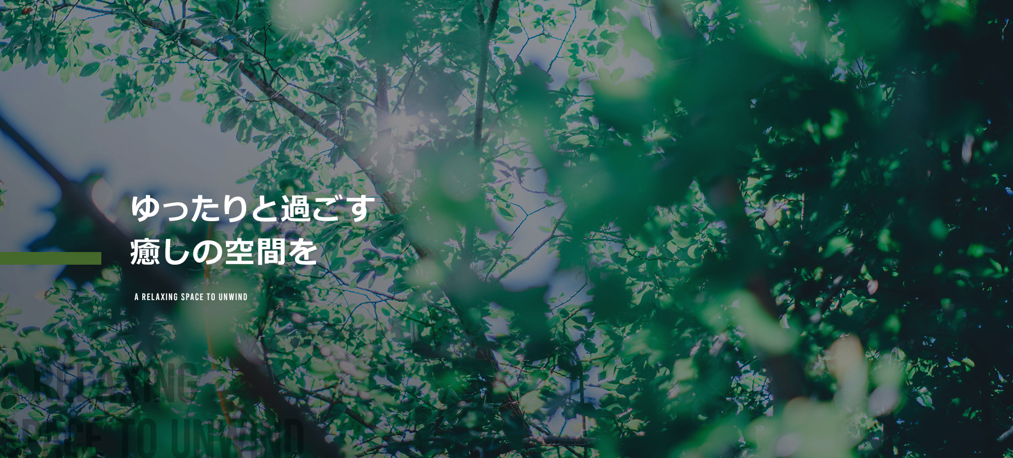 ゆったりと過ごす癒しの時間を