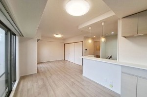 ファミールアクシス泉佐野 206