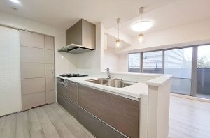 ファミールアクシス泉佐野 206