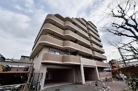 ディオ・フェルティ白鷺 404