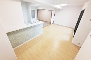 ディオ・フェルティ白鷺 404