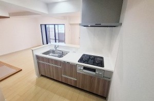 ディオ・フェルティ白鷺 404