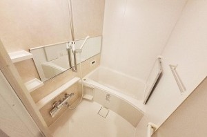 ディオ・フェルティ白鷺 404