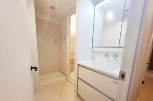 ディオ・フェルティ白鷺 404