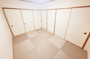 ディオ・フェルティ白鷺 404