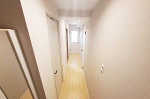 ディオ・フェルティ白鷺 404