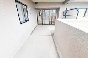 ディオ・フェルティ白鷺 404