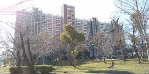 住吉第2団地 11号棟 (3階)