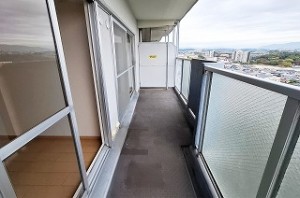 泉北星和台コーポラス 1011