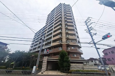 ルネ白鷺