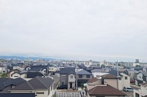 ルネ白鷺